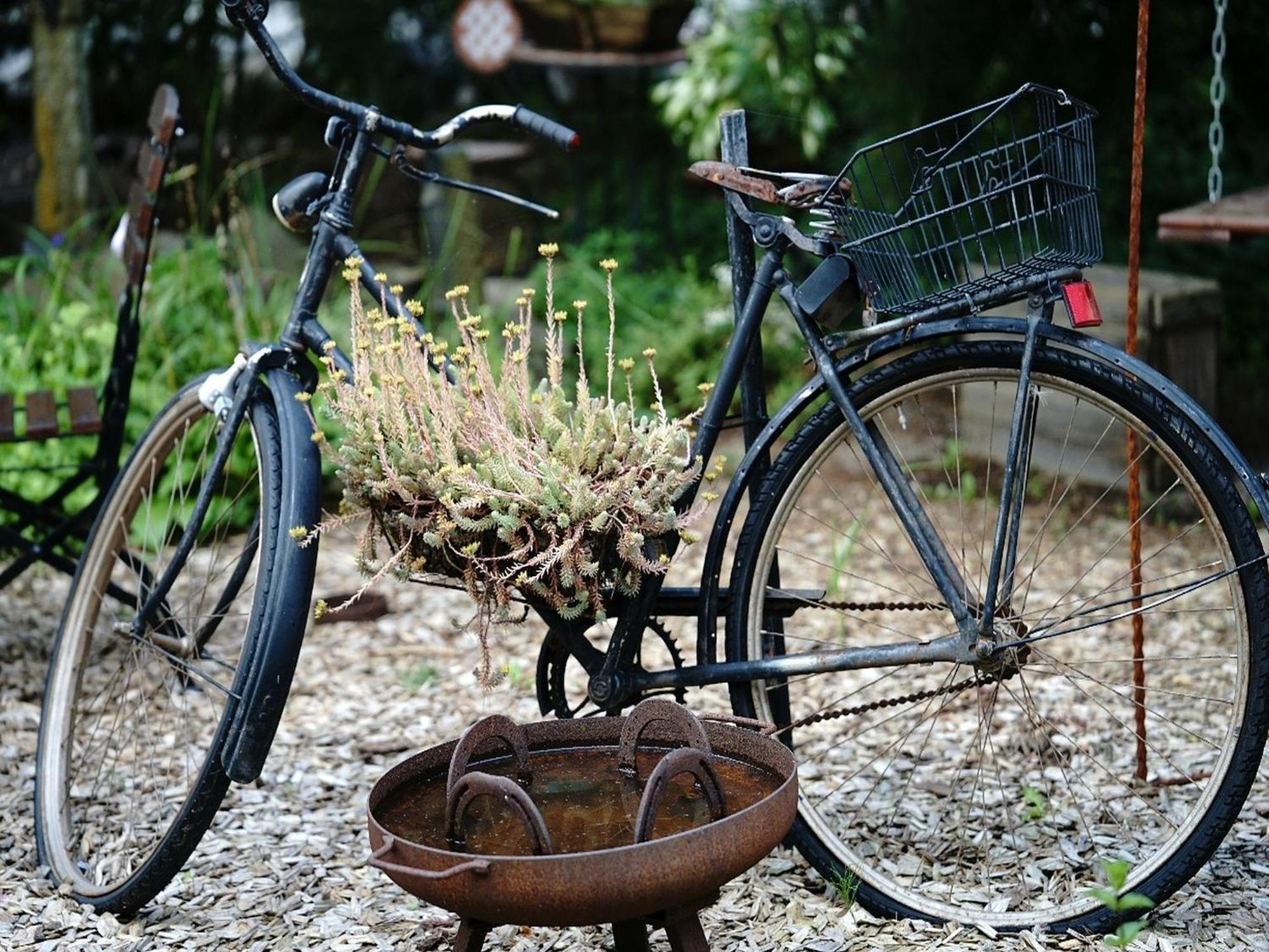 Hotel Usedom Bike & Karlshagen